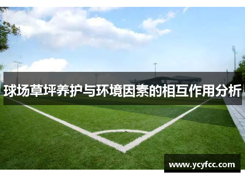 球场草坪养护与环境因素的相互作用分析